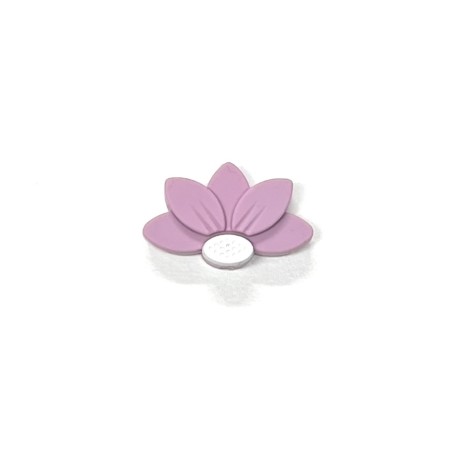 Water Lily