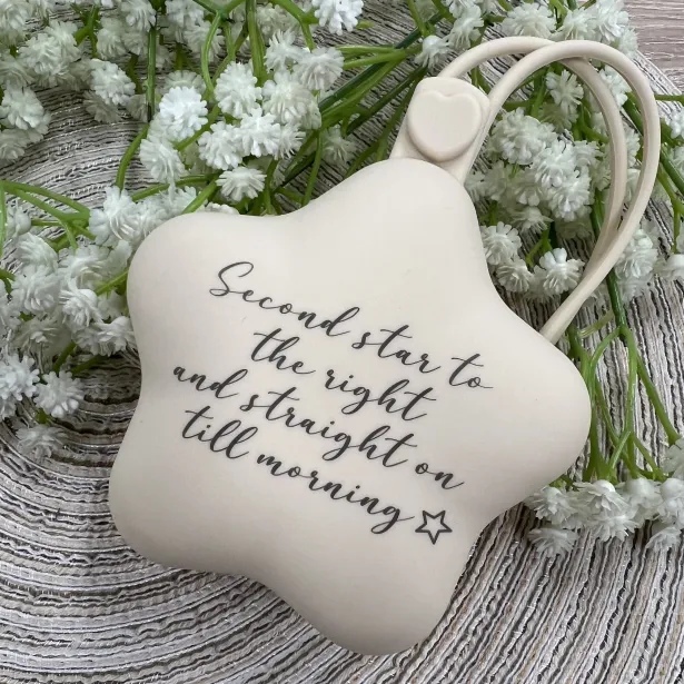 PERSONALISIEREN Schnullerkettenetui Stern mit LASERDRUCK